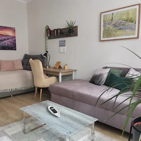 Appartement Vogelwarte à Plauen Extérieur photo