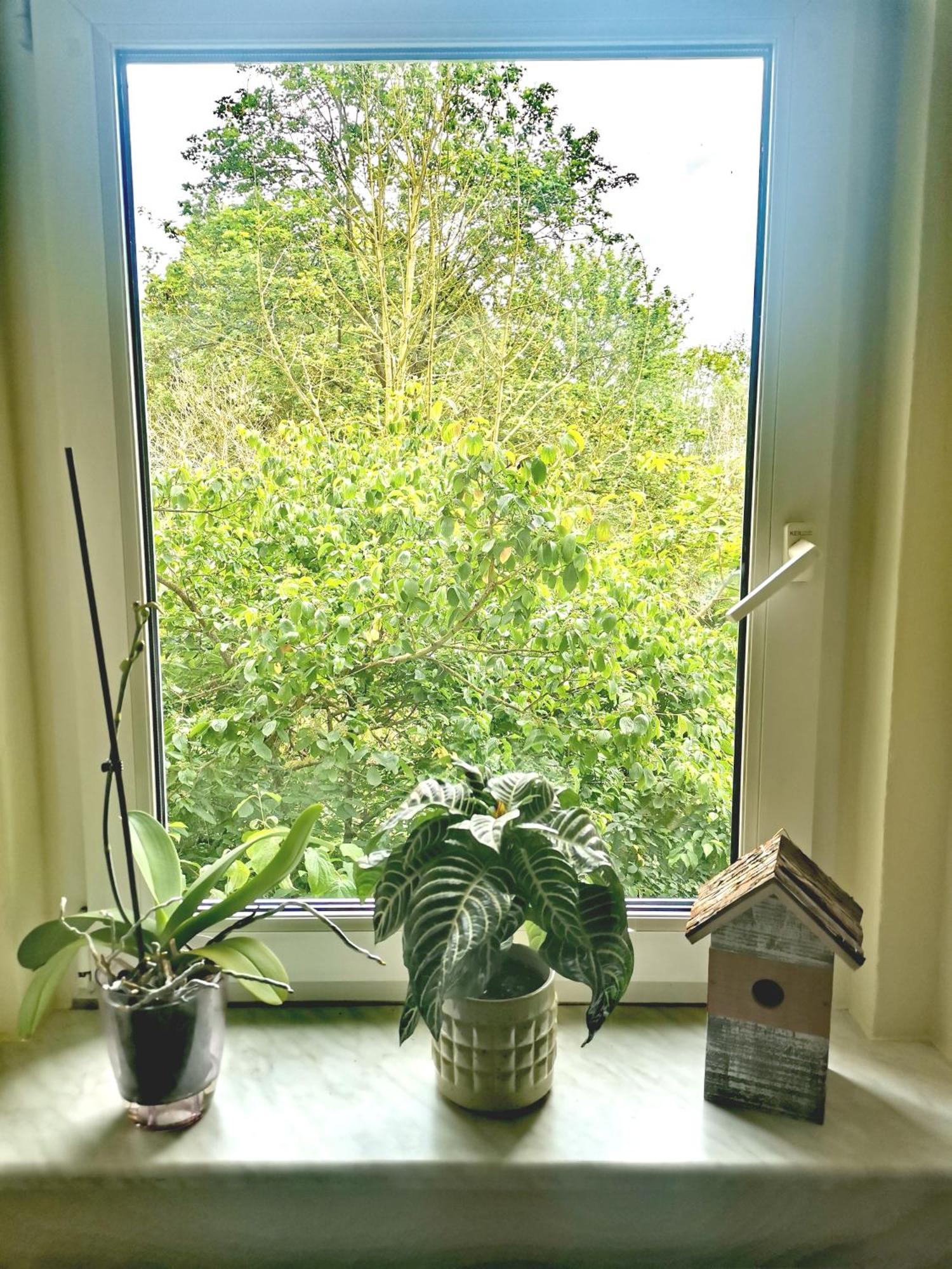 Vogelwarte Appartement Plauen